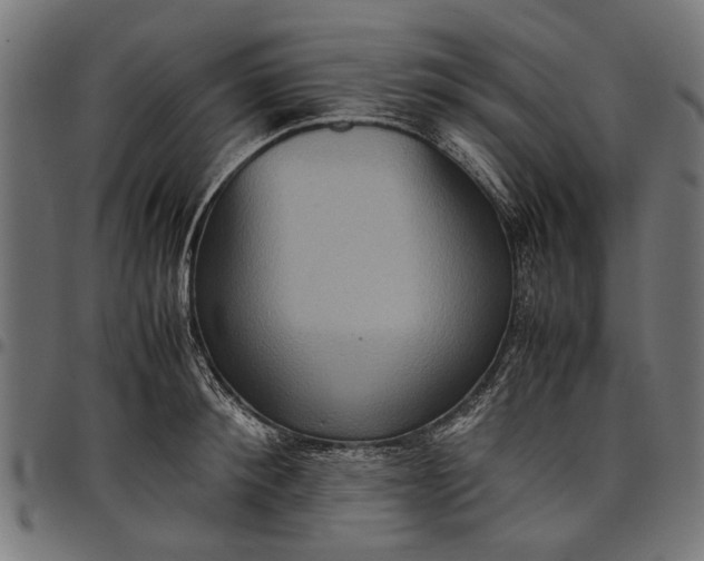 X0000097880900200803281221