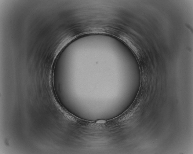 X0000097880901200803281221