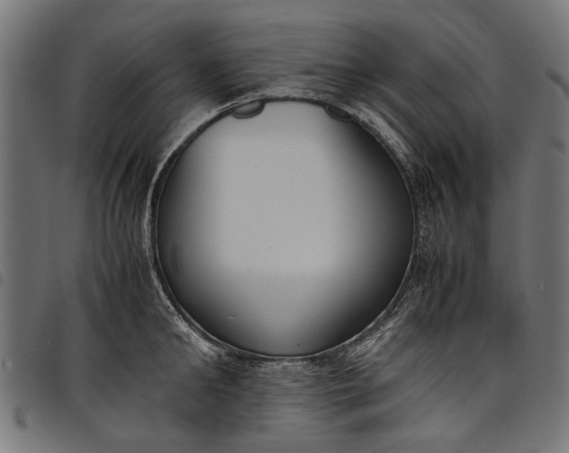 X0000097880902200803281221