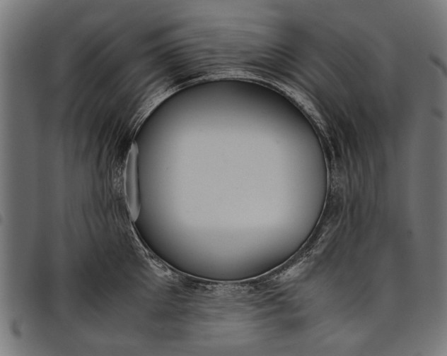 X0000097880905200803281221