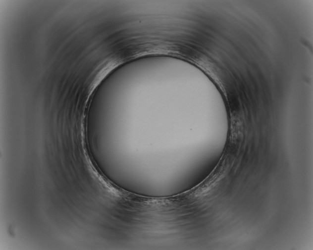 X0000097880906200803281221