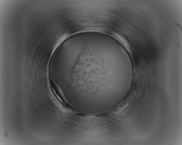 X0000097880907200803281221