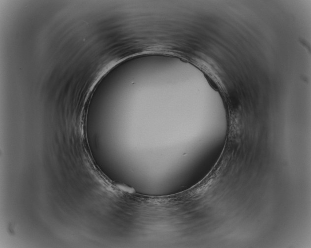 X0000097880908200803281221