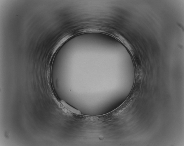 X0000097880909200803281221