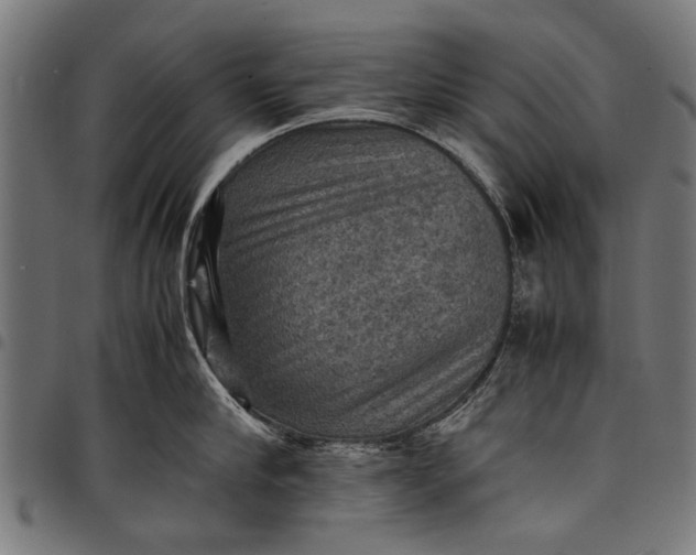 X0000097880910200803281221