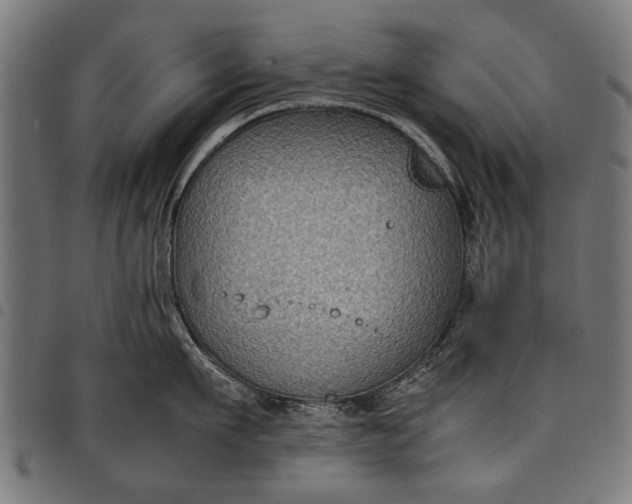 X0000097880911200803281221