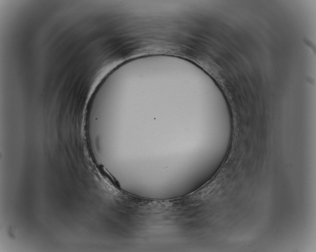 X0000097880912200803281221