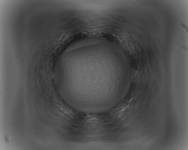 X0000097880913200803281220