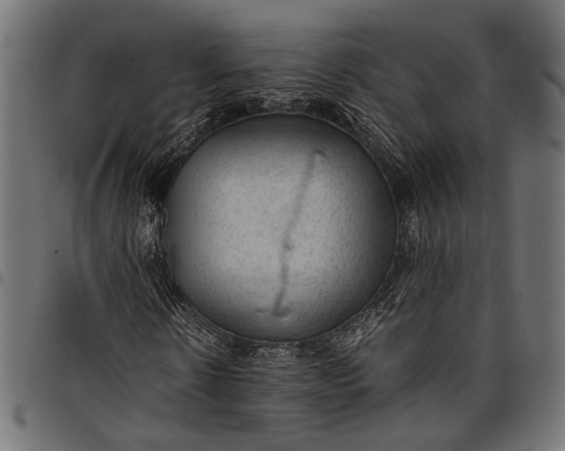 X0000097880914200803281220