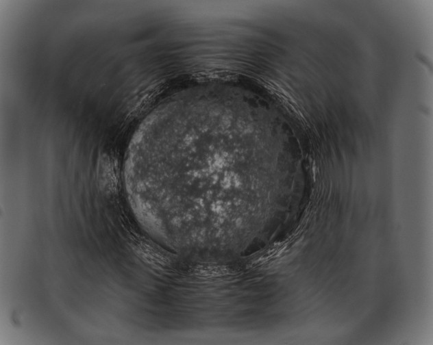 X0000097880915200803281220