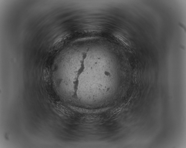 X0000097880917200803281220