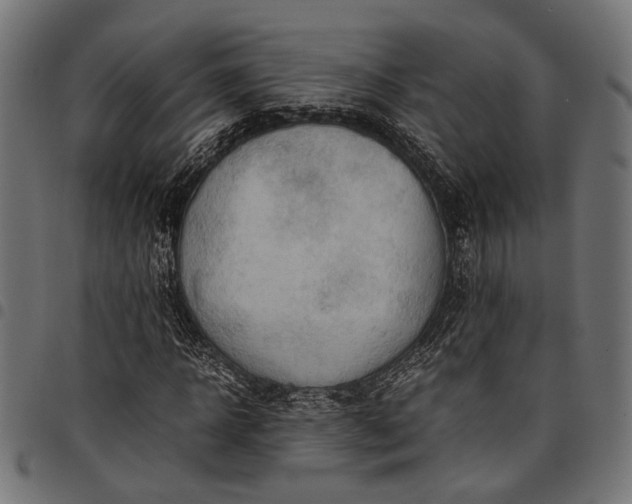 X0000097880918200803281220