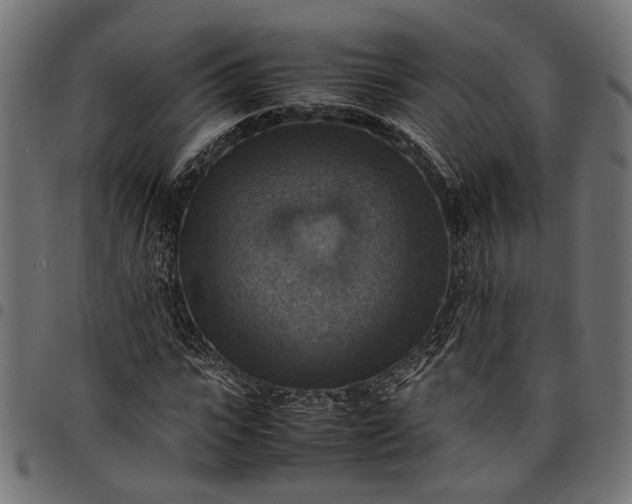 X0000097880919200803281220