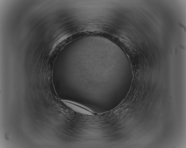 X0000097880920200803281220