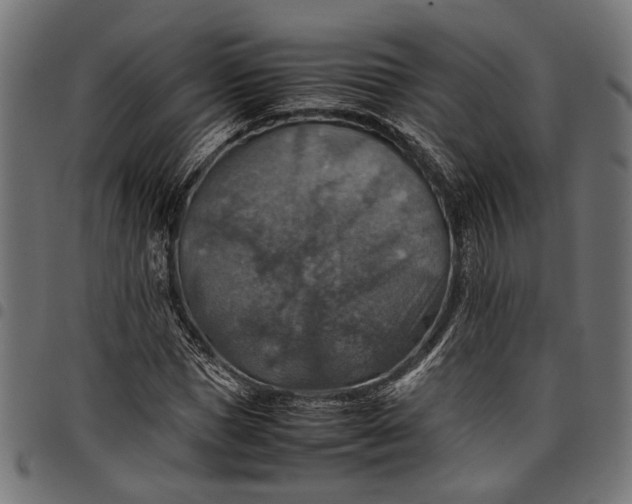 X0000097880921200803281220