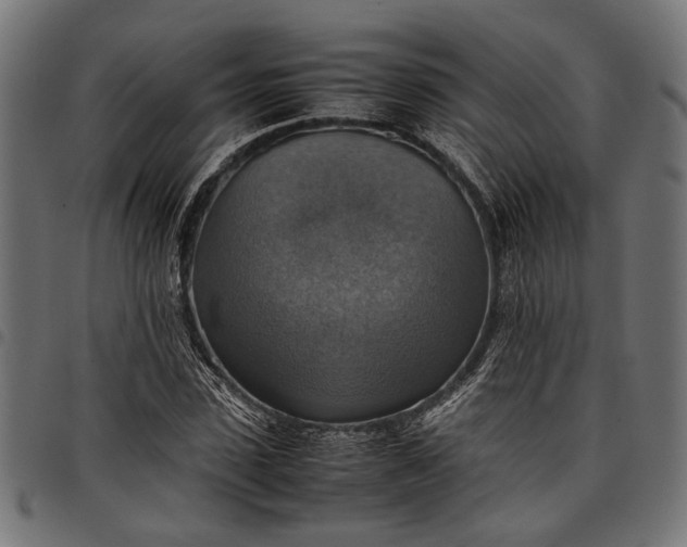 X0000097880923200803281220