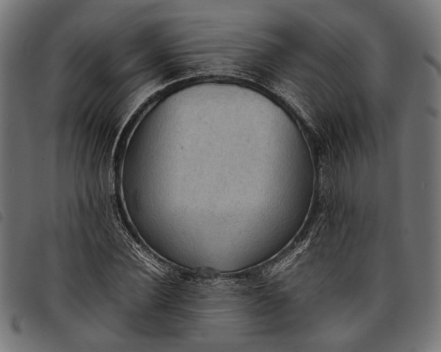 X0000097880924200803281220