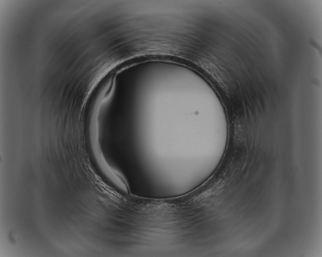 X0000097880926200803281220