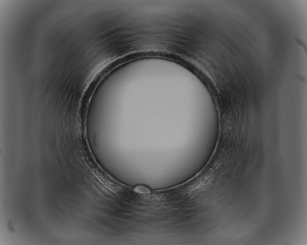 X0000097880927200803281220