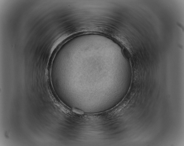 X0000097880928200803281220