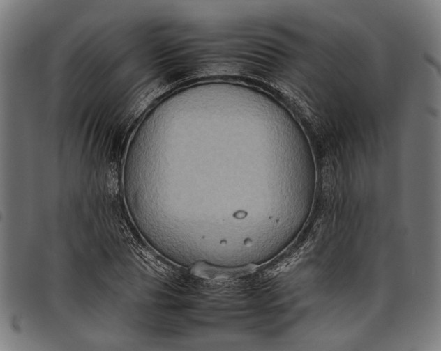 X0000097880929200803281220