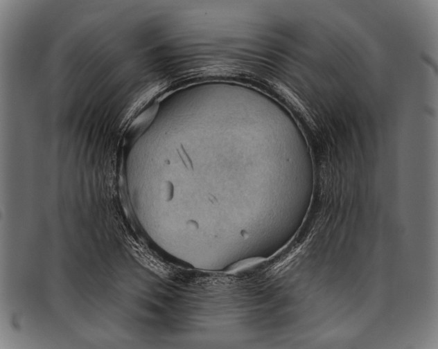 X0000097880930200803281220