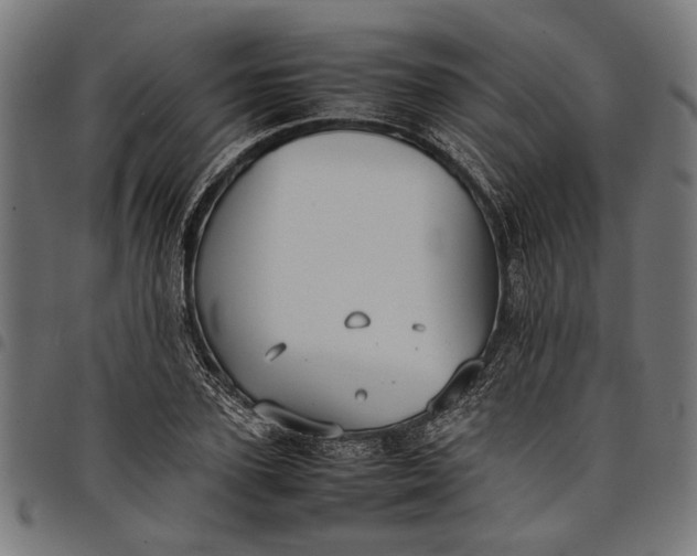 X0000097880931200803281220