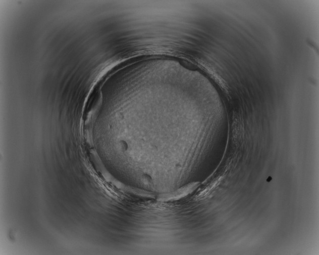 X0000097880932200803281220