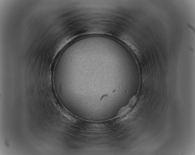 X0000097880933200803281220