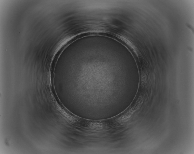 X0000097880935200803281220