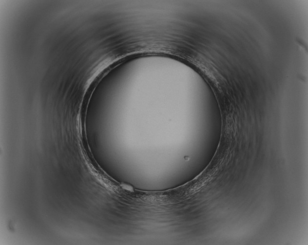 X0000097880936200803281220