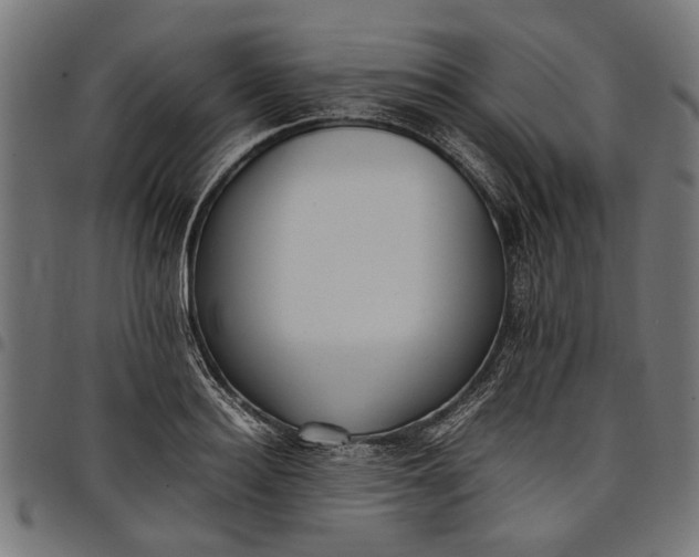 X0000097880940200803281220