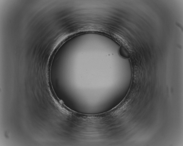 X0000097880942200803281220