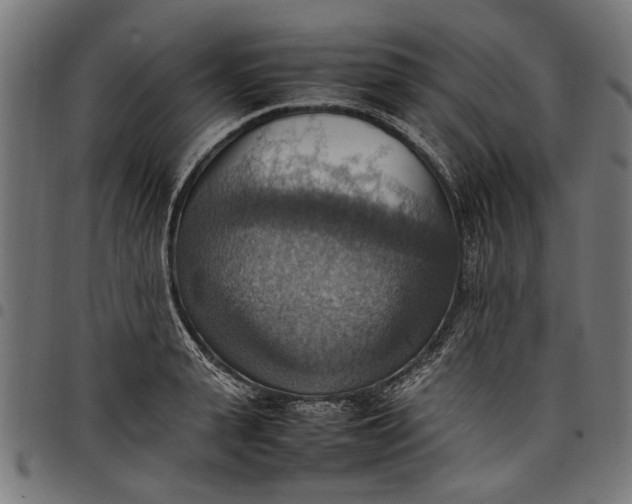 X0000097880943200803281220