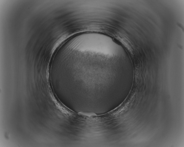 X0000097880944200803281220