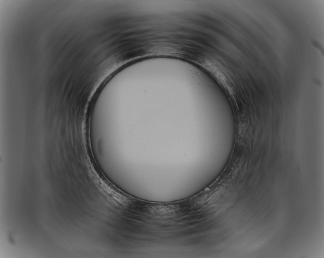 X0000097880947200803281220