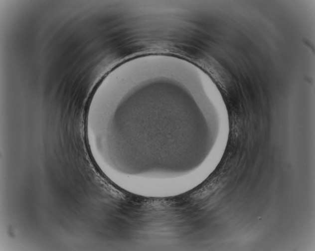 X0000097880950200803281220