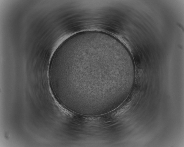 X0000097880951200803281220