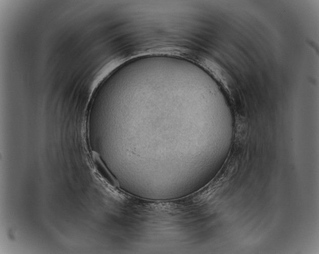 X0000097880952200803281220