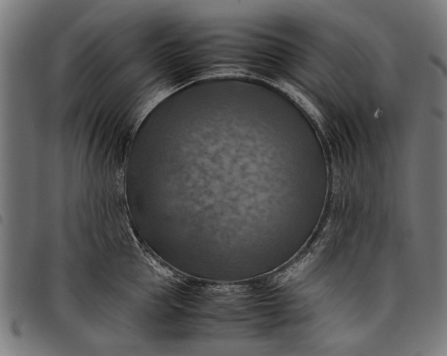 X0000097880953200803281220