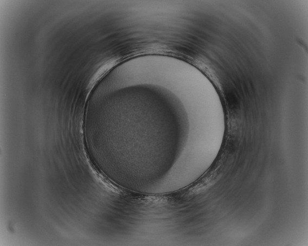 X0000097880954200803281220