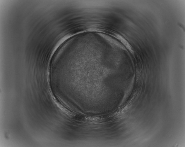 X0000097880955200803281221