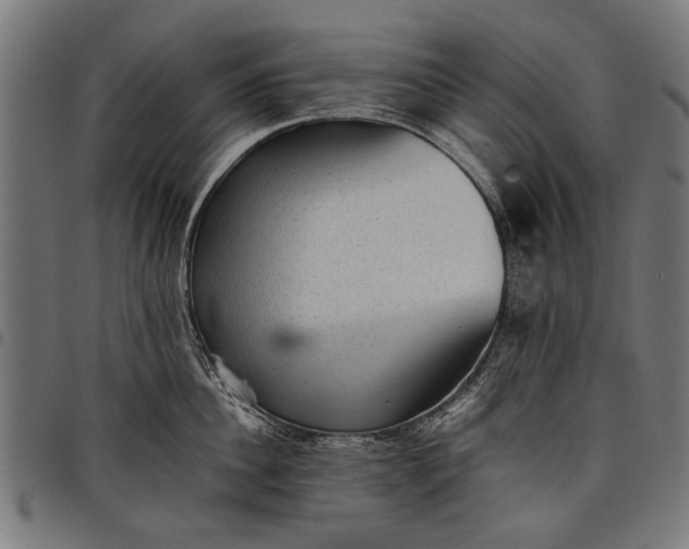 X0000097880956200803281221