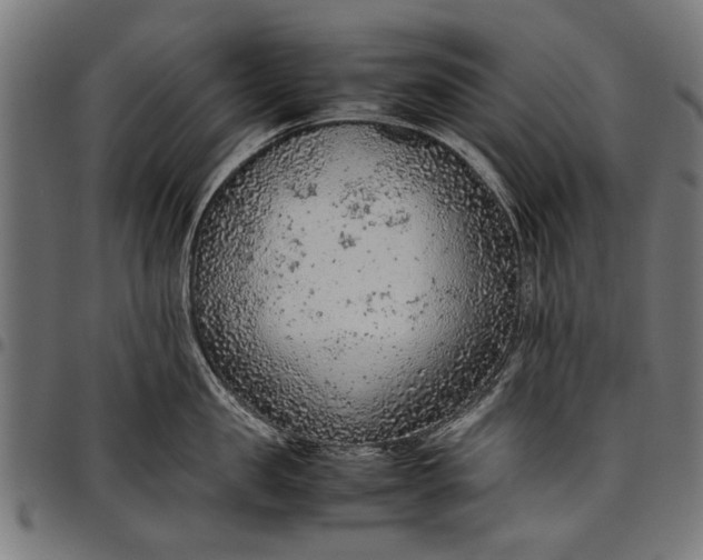 X0000097880957200803281221