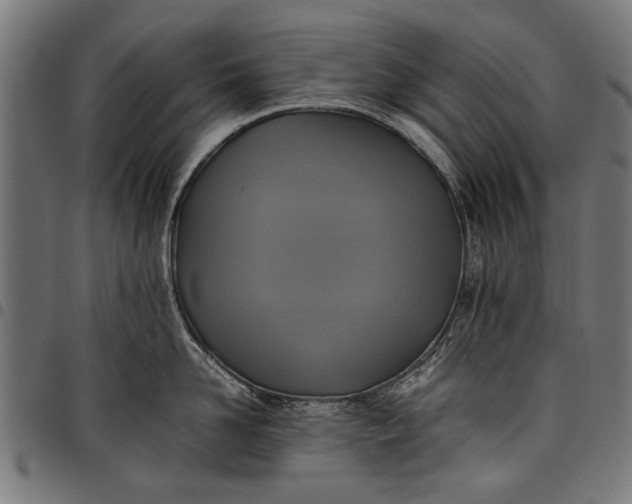 X0000097880958200803281221