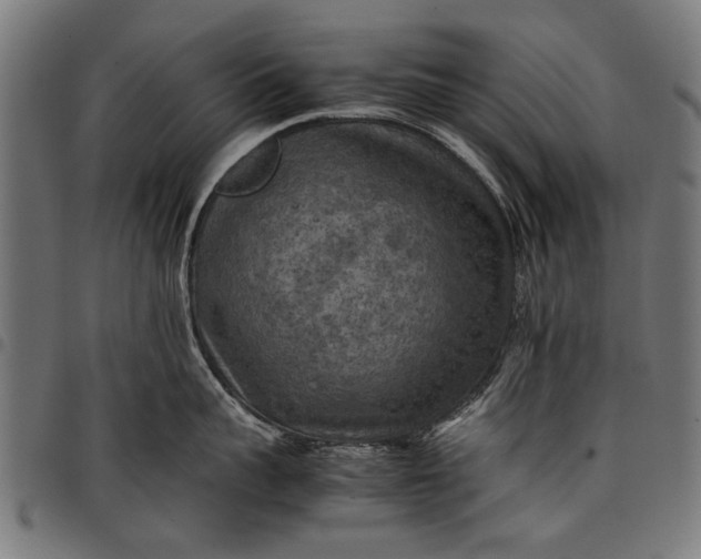 X0000097880959200803281221