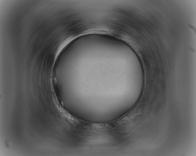 X0000097880960200803281221