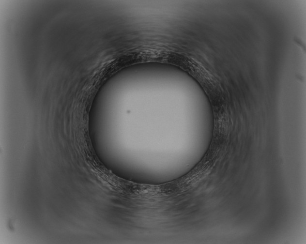 X0000097880961200803281220