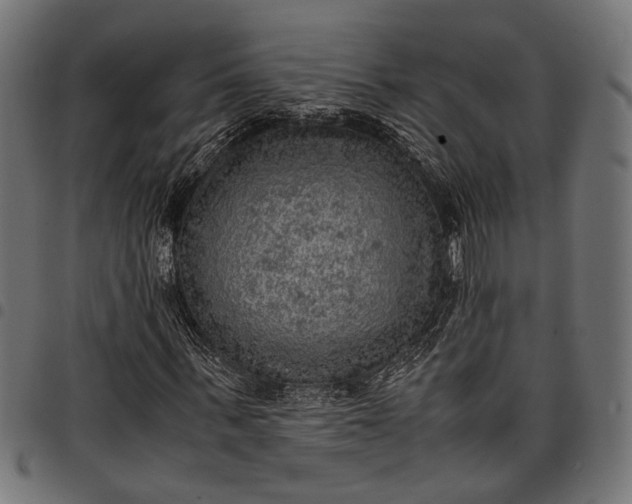 X0000097880963200803281220