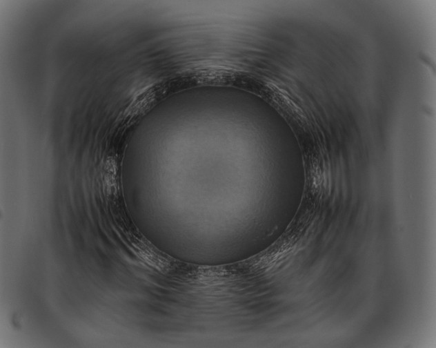 X0000097880964200803281220